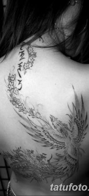 Фото тату феникс для девушек 18.07.2019 №019 — tattoo phoenix for girls — tatufoto.com