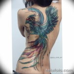 Фото тату феникс для девушек 18.07.2019 №031 - tattoo phoenix for girls - tatufoto.com