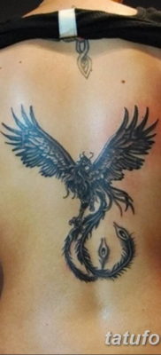 Фото тату феникс для девушек 18.07.2019 №032 — tattoo phoenix for girls — tatufoto.com