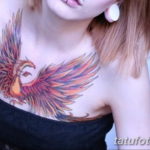 Фото тату феникс для девушек 18.07.2019 №048 - tattoo phoenix for girls - tatufoto.com