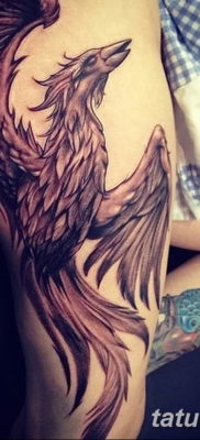 Фото тату феникс для девушек 18.07.2019 №066 — tattoo phoenix for girls — tatufoto.com