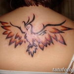 Фото тату феникс для девушек 18.07.2019 №069 - tattoo phoenix for girls - tatufoto.com