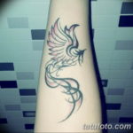 Фото тату феникс на предплечье 18.07.2019 №002 - phoenix tattoo on the fore - tatufoto.com