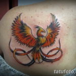 Фото цветное тату феникс 16.07.2019 №011 - color phoenix tattoo - tatufoto.com