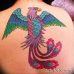 Фото цветное тату феникс 16.07.2019 №015 - color phoenix tattoo - tatufoto.com