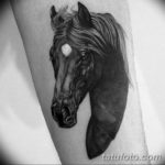 Фото черная лошадь тату 24.07.2019 №004 - black horse tattoo - tatufoto.com