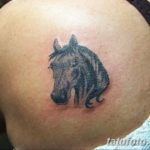 Фото черная лошадь тату 24.07.2019 №013 - black horse tattoo - tatufoto.com