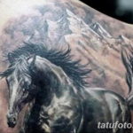 Фото черная лошадь тату 24.07.2019 №018 - black horse tattoo - tatufoto.com