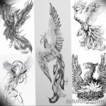 Фото эскиз татуировки феникс 18.07.2019 №007 - phoenix tattoo sketch - tatufoto.com