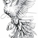 Фото эскиз татуировки феникс 18.07.2019 №008 - phoenix tattoo sketch - tatufoto.com