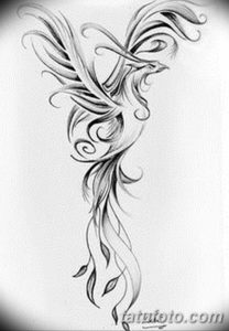 Эскиз татуировки феникса, выполненный в стиле line art с использованием плавных линий и абстрактных форм, создающих элегантный и современный образ.