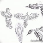 Фото эскиз татуировки феникс 18.07.2019 №035 - phoenix tattoo sketch - tatufoto.com