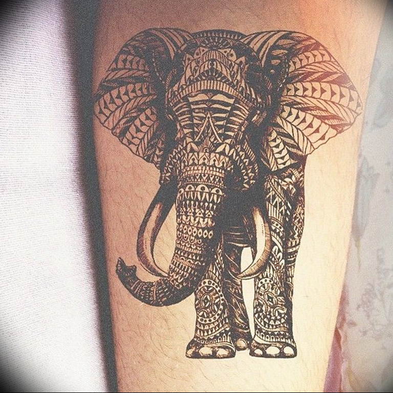 Индийский слон тату