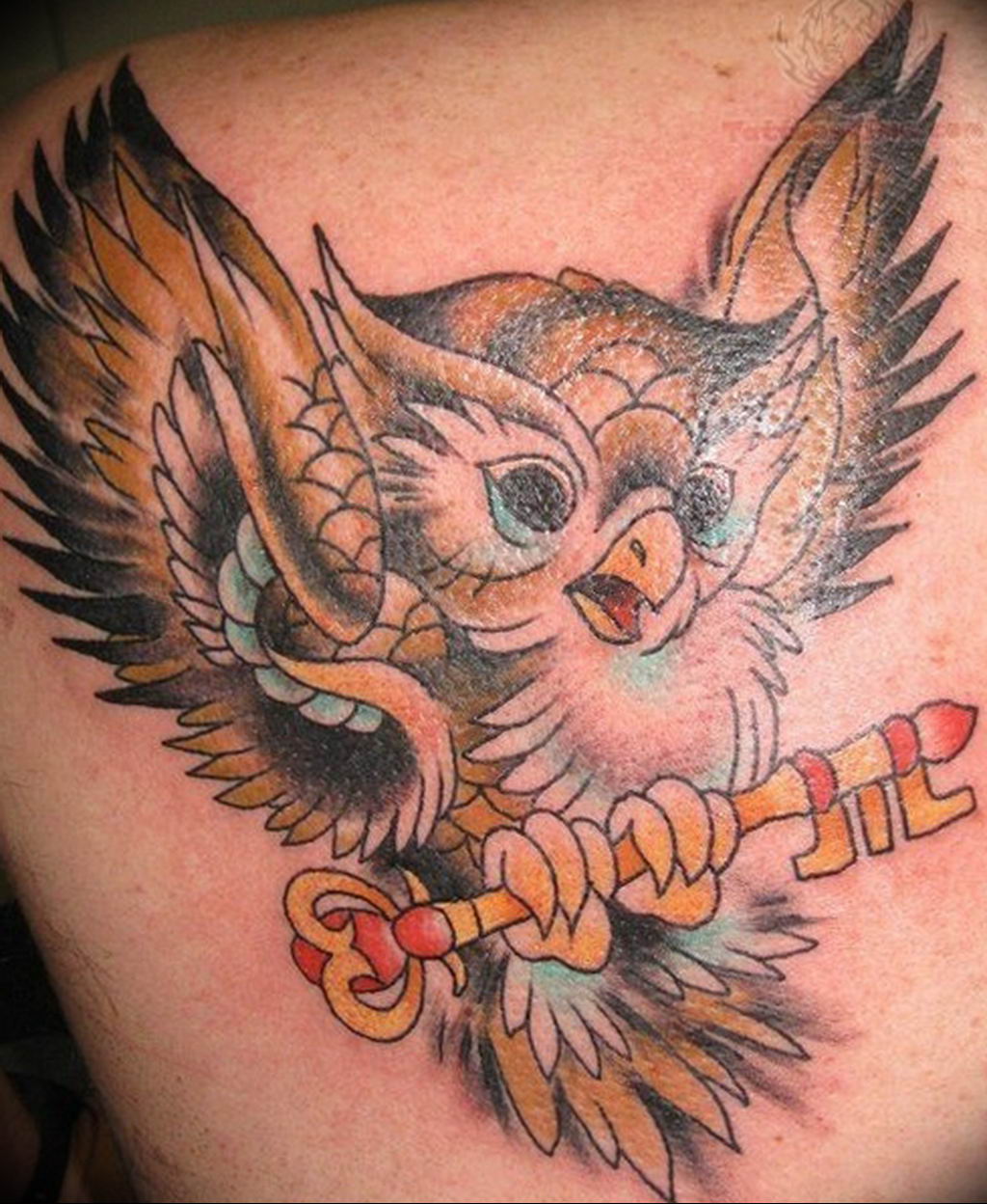 Фото тату сова с ключом 21.08.2019 № 017 - owl tattoo with key - tatufoto.c...