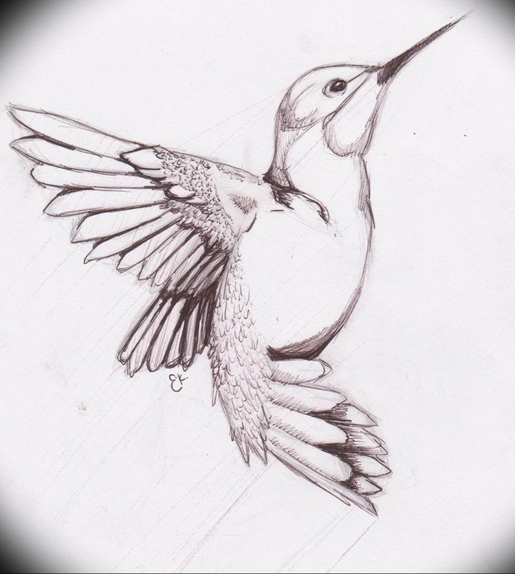 Рисунок птиц карандашом легкие. Птица рисунок. Зарисовки птиц. Красивые рисунки птиц. Наброски птиц.