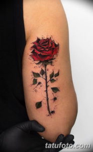 Фото красивые розы тату 12.08.2019 №007 - beautiful roses tattoo - tatufoto.com