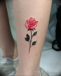 Фото красивые розы тату 12.08.2019 №023 - beautiful roses tattoo - tatufoto.com