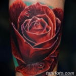 Фото красивые розы тату 12.08.2019 №042 - beautiful roses tattoo - tatufoto.com