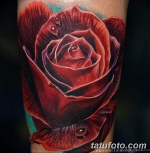 Фото красивые розы тату 12.08.2019 №042 - beautiful roses tattoo - tatufoto.com