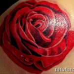 Фото красивые розы тату 12.08.2019 №058 - beautiful roses tattoo - tatufoto.com