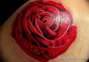 Фото красивые розы тату 12.08.2019 №058 - beautiful roses tattoo - tatufoto.com