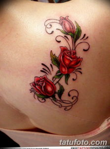 Фото красивые розы тату 12.08.2019 №062 - beautiful roses tattoo - tatufoto.com