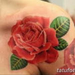 Фото красивые розы тату 12.08.2019 №082 - beautiful roses tattoo - tatufoto.com