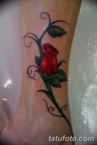 Фото красивые розы тату 12.08.2019 №093 - beautiful roses tattoo - tatufoto.com