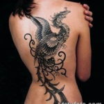 Фото красивые тату драконов 12.08.2019 №031 - beautiful dragon tattoos - tatufoto.com