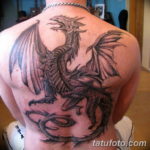 Фото красивые тату драконов 12.08.2019 №036 - beautiful dragon tattoos - tatufoto.com