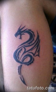 Фото красивые тату драконов 12.08.2019 №039 - beautiful dragon tattoos - tatufoto.com