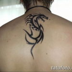 Фото красивые тату драконов 12.08.2019 №043 - beautiful dragon tattoos - tatufoto.com