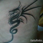 Фото красивые тату драконов 12.08.2019 №065 - beautiful dragon tattoos - tatufoto.com