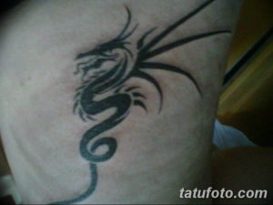 Фото красивые тату драконов 12.08.2019 №065 - beautiful dragon tattoos - tatufoto.com