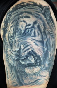 Фото красивые тату животных 12.08.2019 №018 - beautiful animal tattoos - tatufoto.com