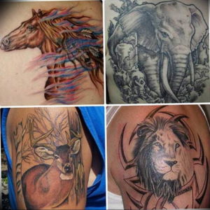 Фото красивые тату животных 12.08.2019 №040 - beautiful animal tattoos - tatufoto.com