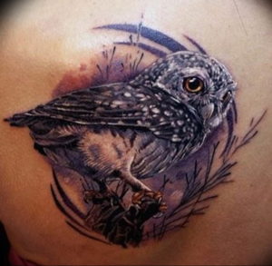 Фото красивые тату животных 12.08.2019 №042 - beautiful animal tattoos - tatufoto.com