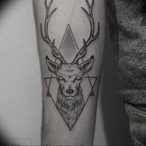 Фото красивые тату животных 12.08.2019 №047 - beautiful animal tattoos - tatufoto.com