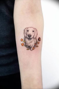 Фото красивые тату животных 12.08.2019 №059 - beautiful animal tattoos - tatufoto.com