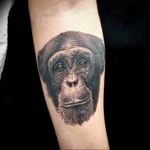 Фото красивые тату животных 12.08.2019 №063 - beautiful animal tattoos - tatufoto.com