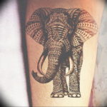 Фото красивые тату животных 12.08.2019 №069 - beautiful animal tattoos - tatufoto.com