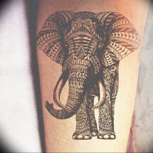 Фото красивые тату животных 12.08.2019 №069 - beautiful animal tattoos - tatufoto.com