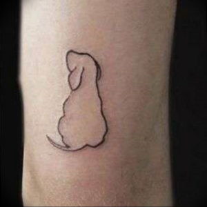 Фото красивые тату животных 12.08.2019 №093 - beautiful animal tattoos - tatufoto.com