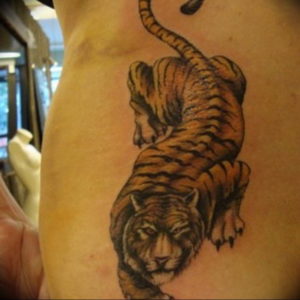 Фото красивые тату животных 12.08.2019 №096 - beautiful animal tattoos - tatufoto.com