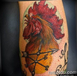 Фото красивые тату животных 12.08.2019 №099 - beautiful animal tattoos - tatufoto.com
