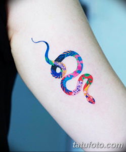 Фото красивые тату змеи 12.08.2019 №001 - beautiful snake tattoos - tatufoto.com