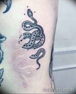 Фото красивые тату змеи 12.08.2019 №002 - beautiful snake tattoos - tatufoto.com