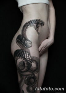 Фото красивые тату змеи 12.08.2019 №003 - beautiful snake tattoos - tatufoto.com