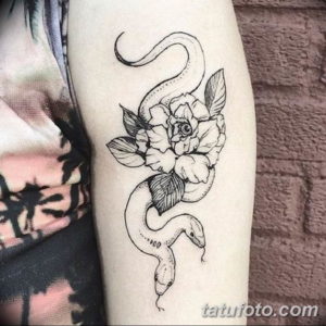 Фото красивые тату змеи 12.08.2019 №005 - beautiful snake tattoos - tatufoto.com