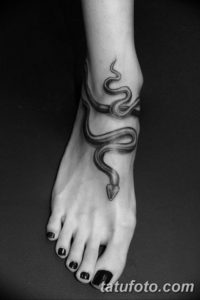 Фото красивые тату змеи 12.08.2019 №006 - beautiful snake tattoos - tatufoto.com